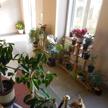 Prezident Hotell Dilove